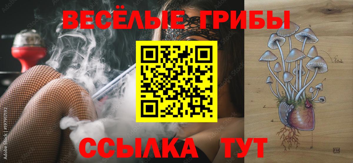 Галлюциногенные грибы мухоморы  Вход с VPN  Новокуйбышевск 